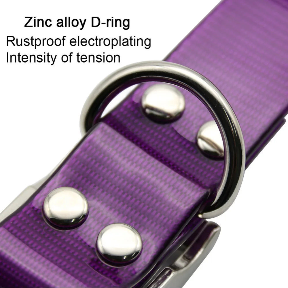 Collare Impermeabile per Cani – TPU + Nylon Resistente e Anti-Odore