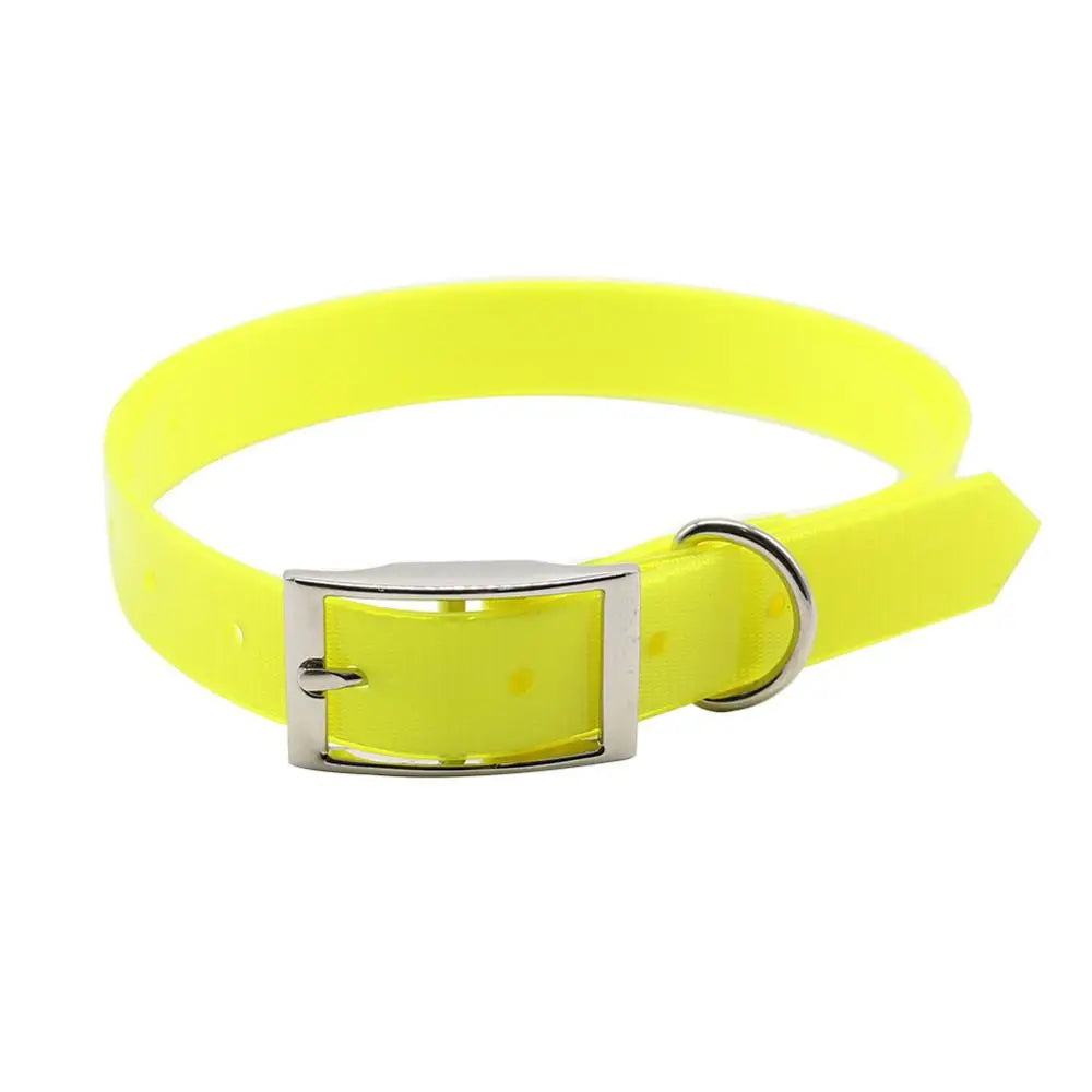 Collare Impermeabile per Cani – TPU + Nylon Resistente e Anti-Odore