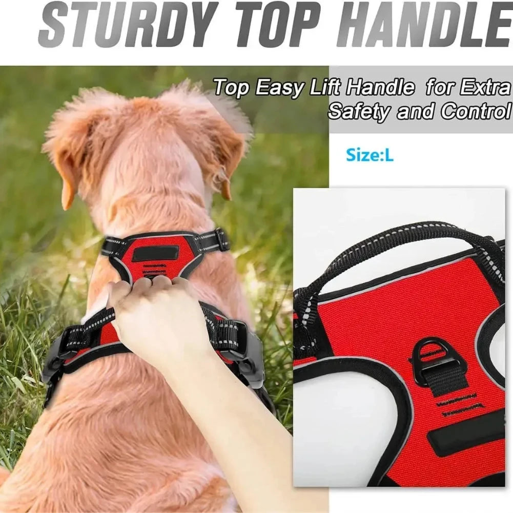 Set per Cani – Collare, Pettorina e Guinzaglio in Pelle