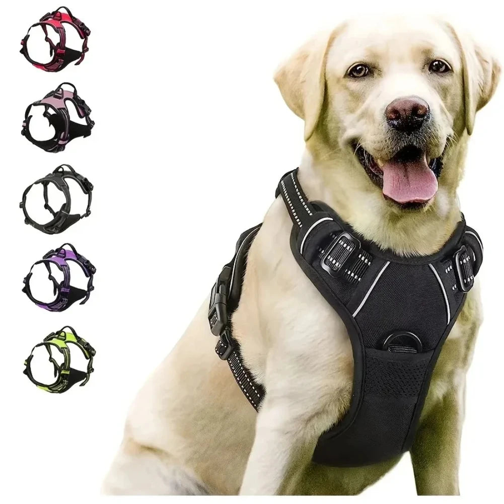 Set per Cani – Collare, Pettorina e Guinzaglio in Pelle