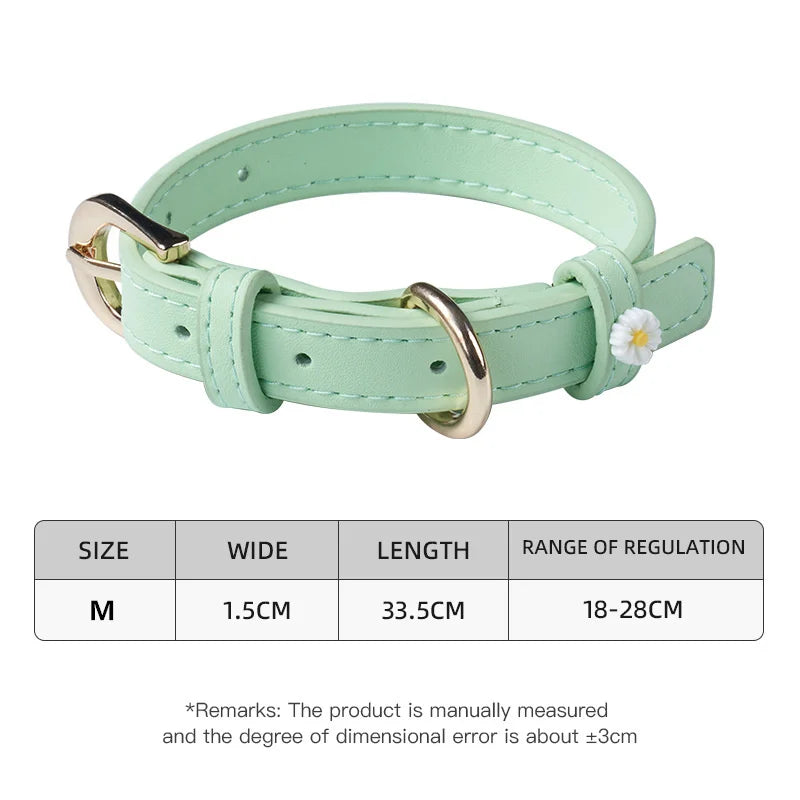 Collare per Cani con Margherite – Elegante e Regolabile