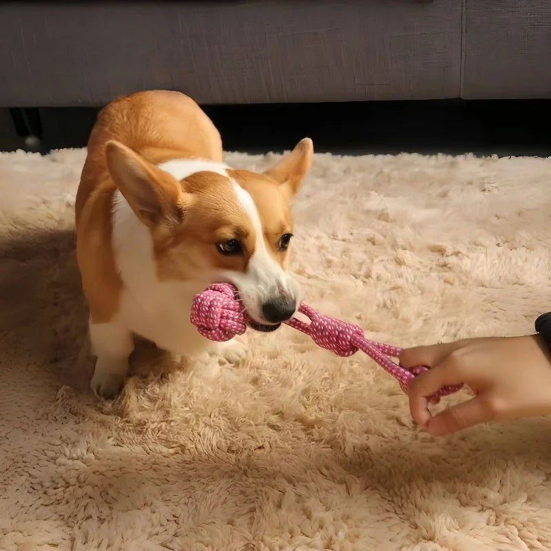 Gioco per Cani in Corda – Palla Interattiva e Masticabile