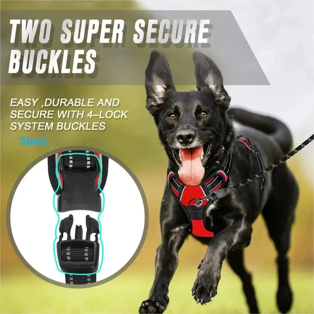 Set per Cani – Collare, Pettorina e Guinzaglio in Pelle
