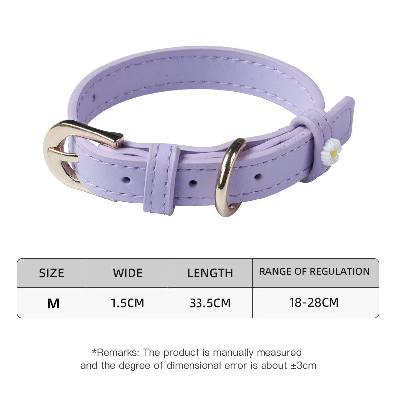 Collare per Cani con Margherite – Elegante e Regolabile