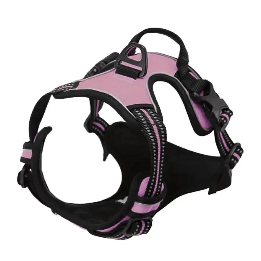 Set per Cani – Collare, Pettorina e Guinzaglio in Pelle