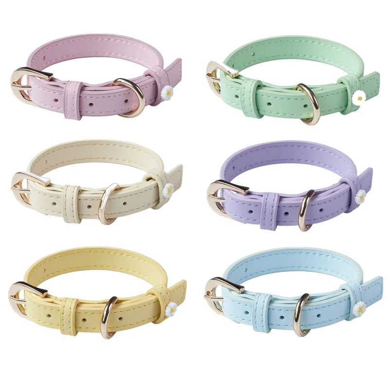 Collare per Cani con Margherite – Elegante e Regolabile