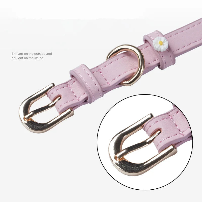 Collare per Cani con Margherite – Elegante e Regolabile