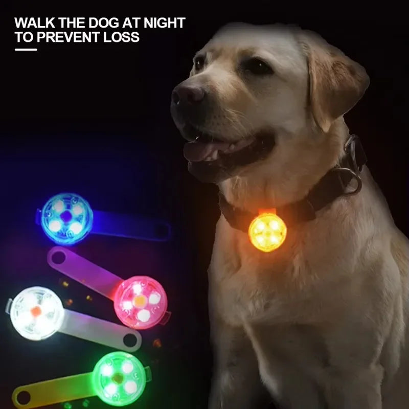 Collare LED Luminoso – Sicurezza Notturna USB Ricaricabile