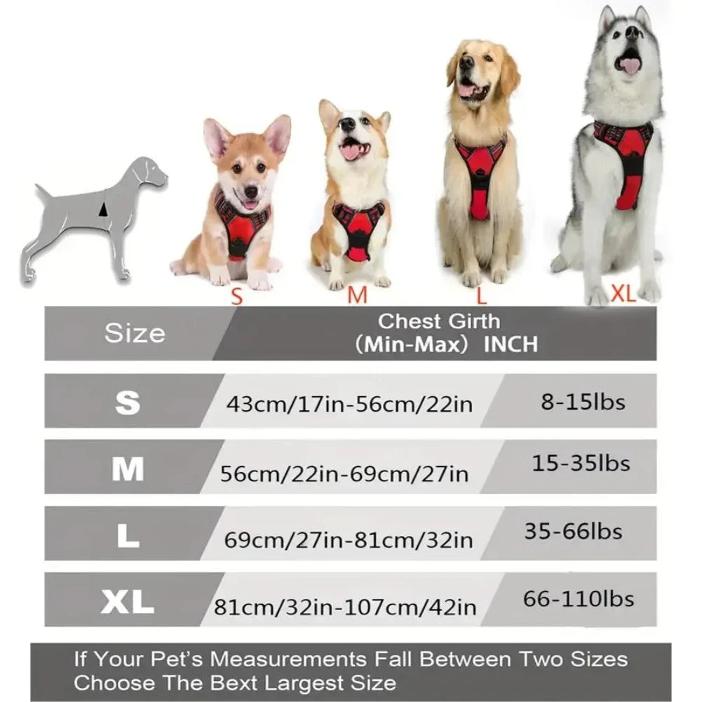 Set per Cani – Collare, Pettorina e Guinzaglio in Pelle