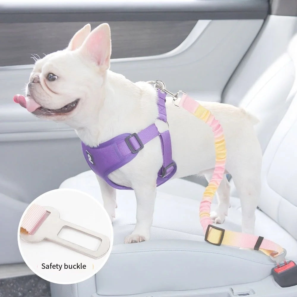 Cintura di Sicurezza per Cani – Guinzaglio Auto Regolabile