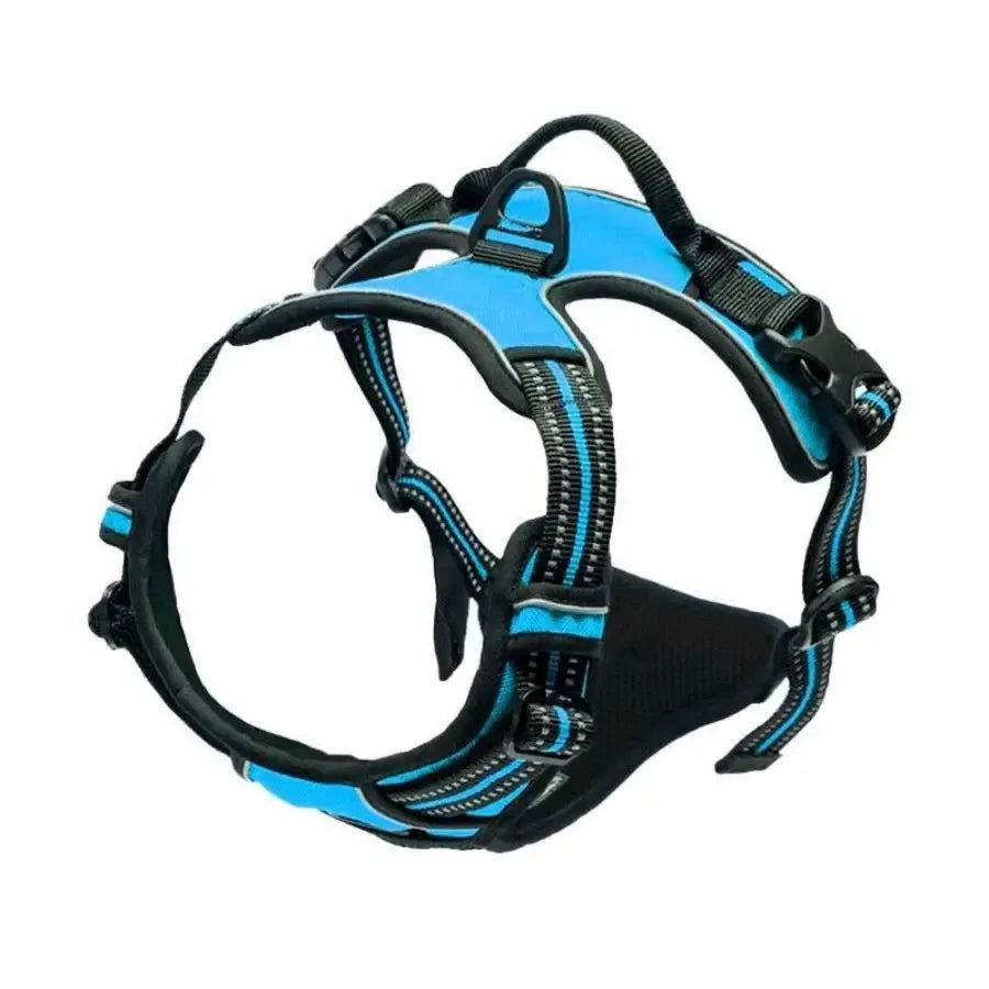 Set per Cani – Collare, Pettorina e Guinzaglio in Pelle
