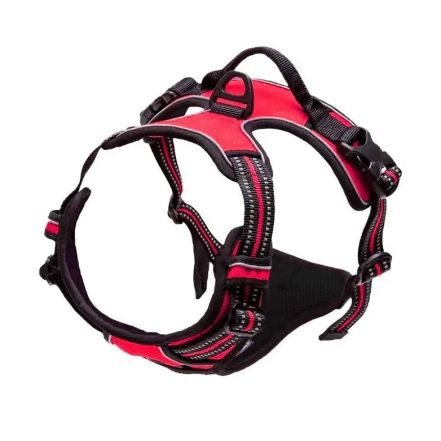 Set per Cani – Collare, Pettorina e Guinzaglio in Pelle