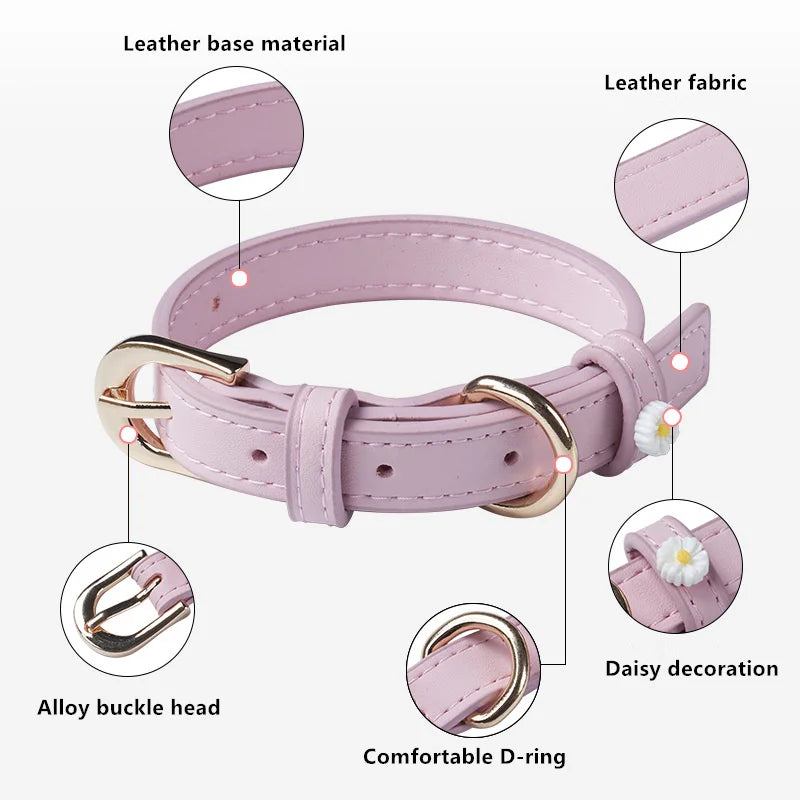 Collare per Cani con Margherite – Elegante e Regolabile