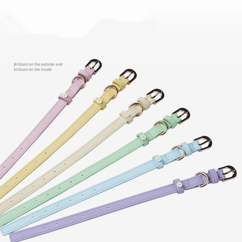 Collare per Cani con Margherite – Elegante e Regolabile