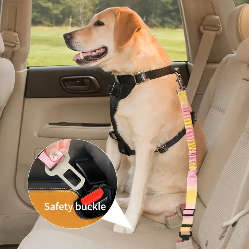 Cintura di Sicurezza per Cani – Guinzaglio Auto Regolabile