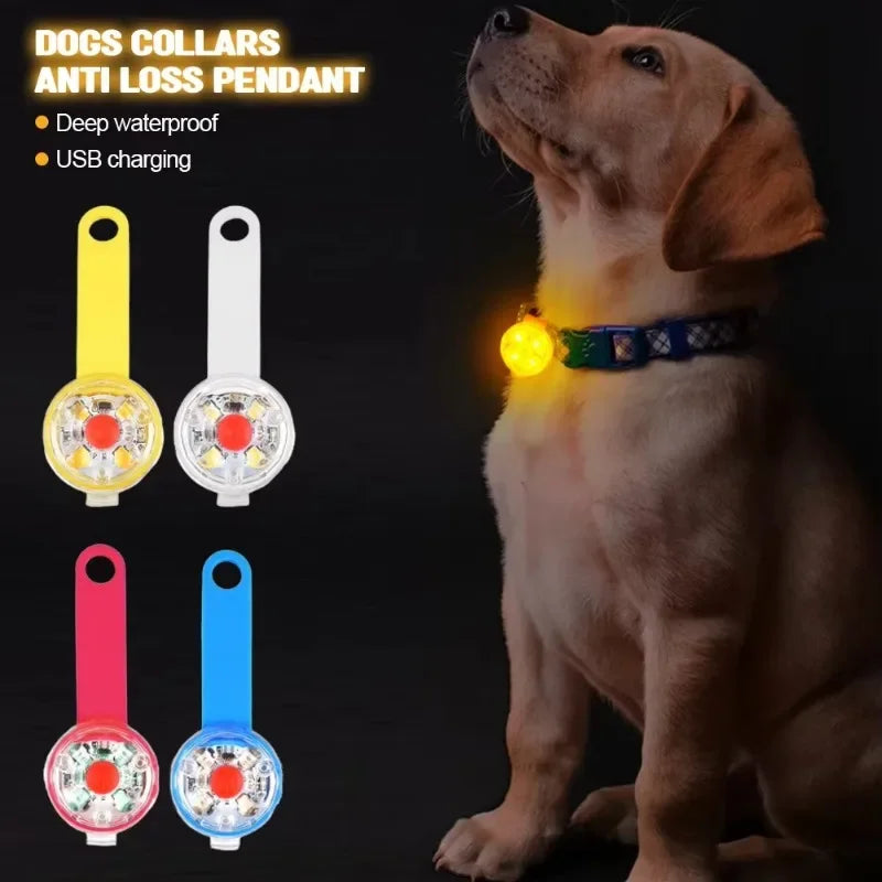 Collare LED Luminoso – Sicurezza Notturna USB Ricaricabile