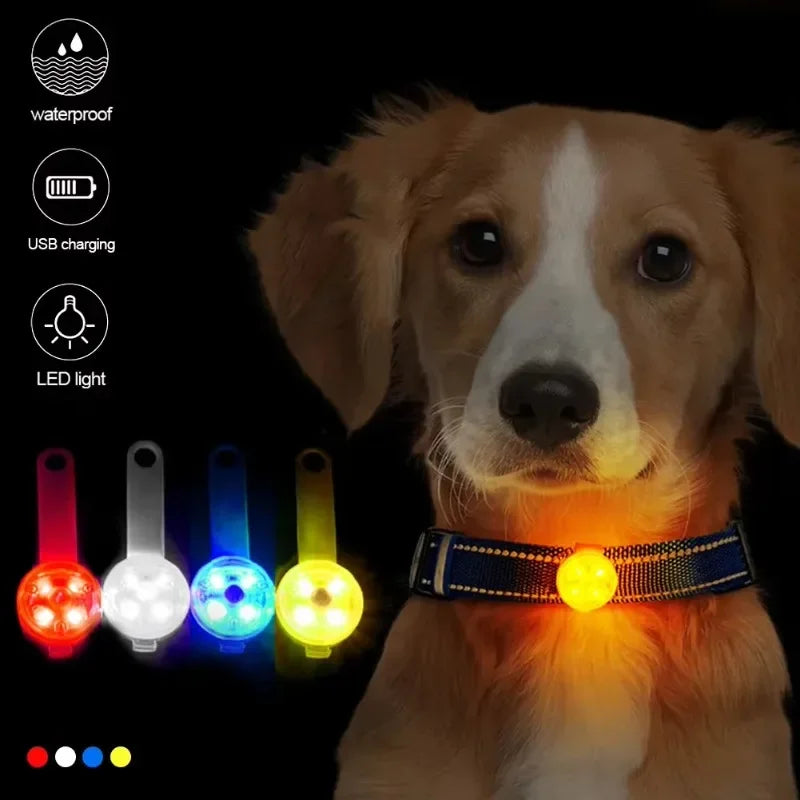 Collare LED Luminoso – Sicurezza Notturna USB Ricaricabile
