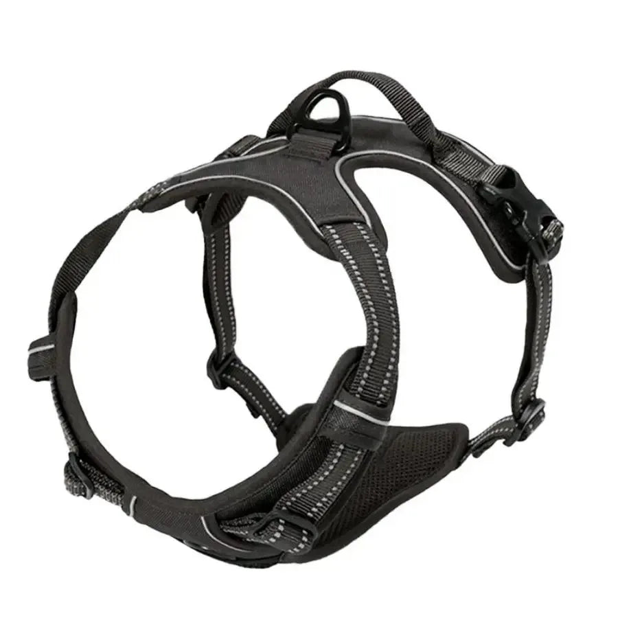 Set per Cani – Collare, Pettorina e Guinzaglio in Pelle