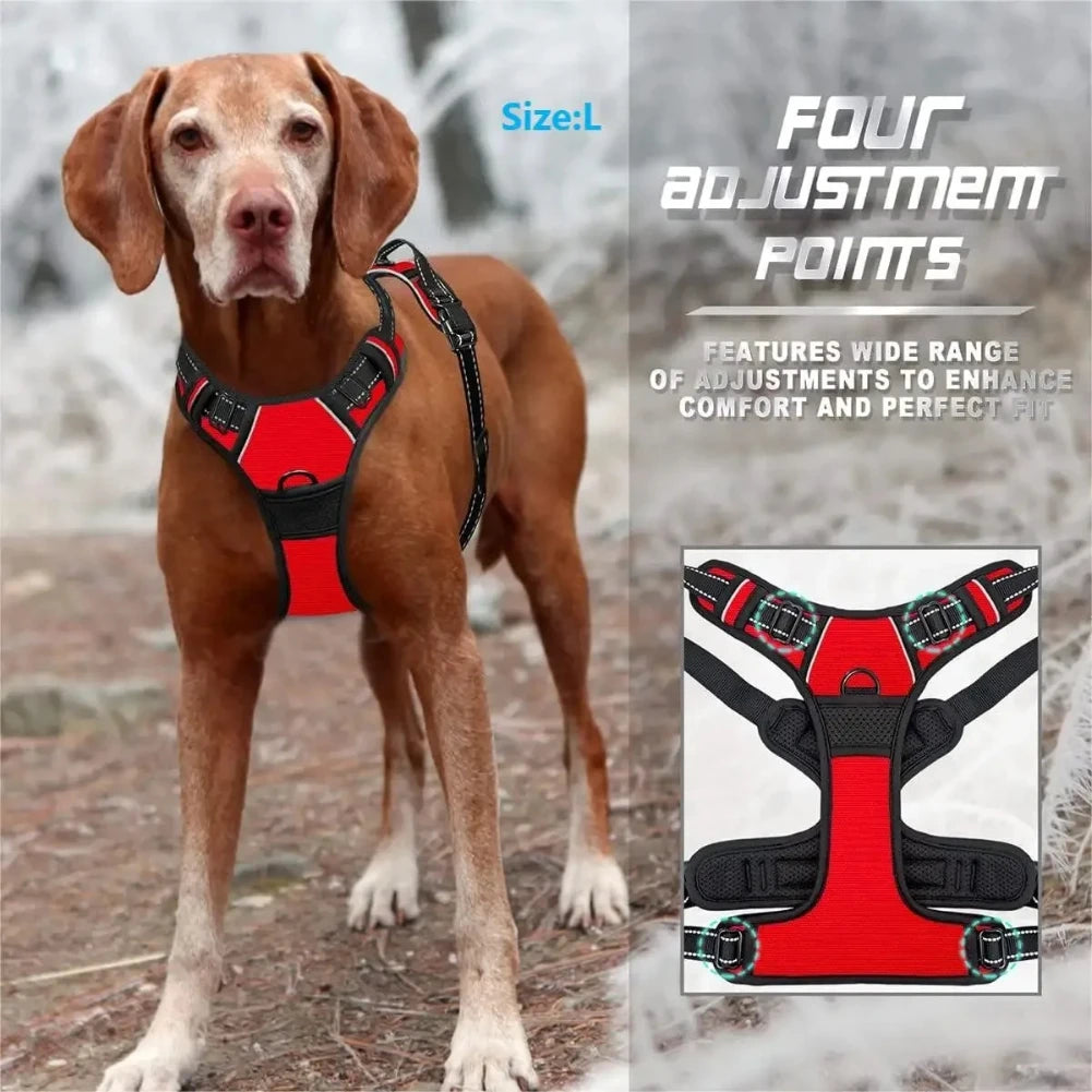 Set per Cani – Collare, Pettorina e Guinzaglio in Pelle